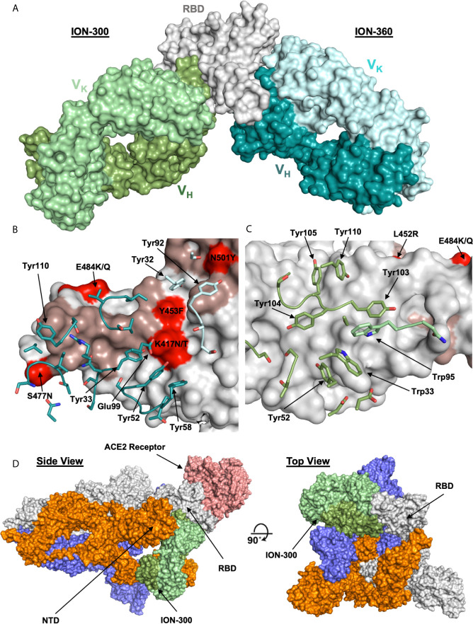 Figure 4