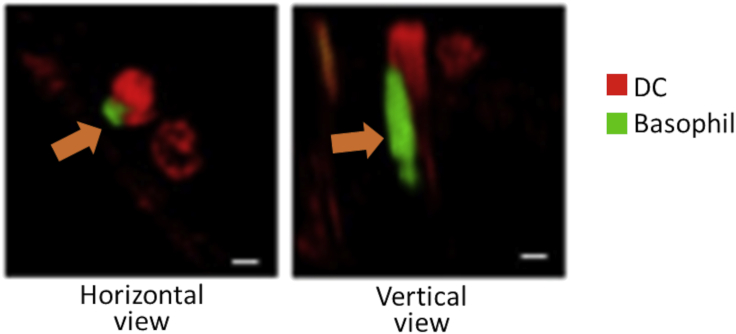 Figure 6