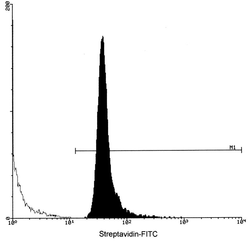 FIG. 1