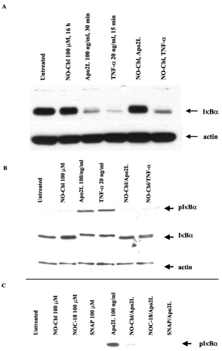 FIG. 6