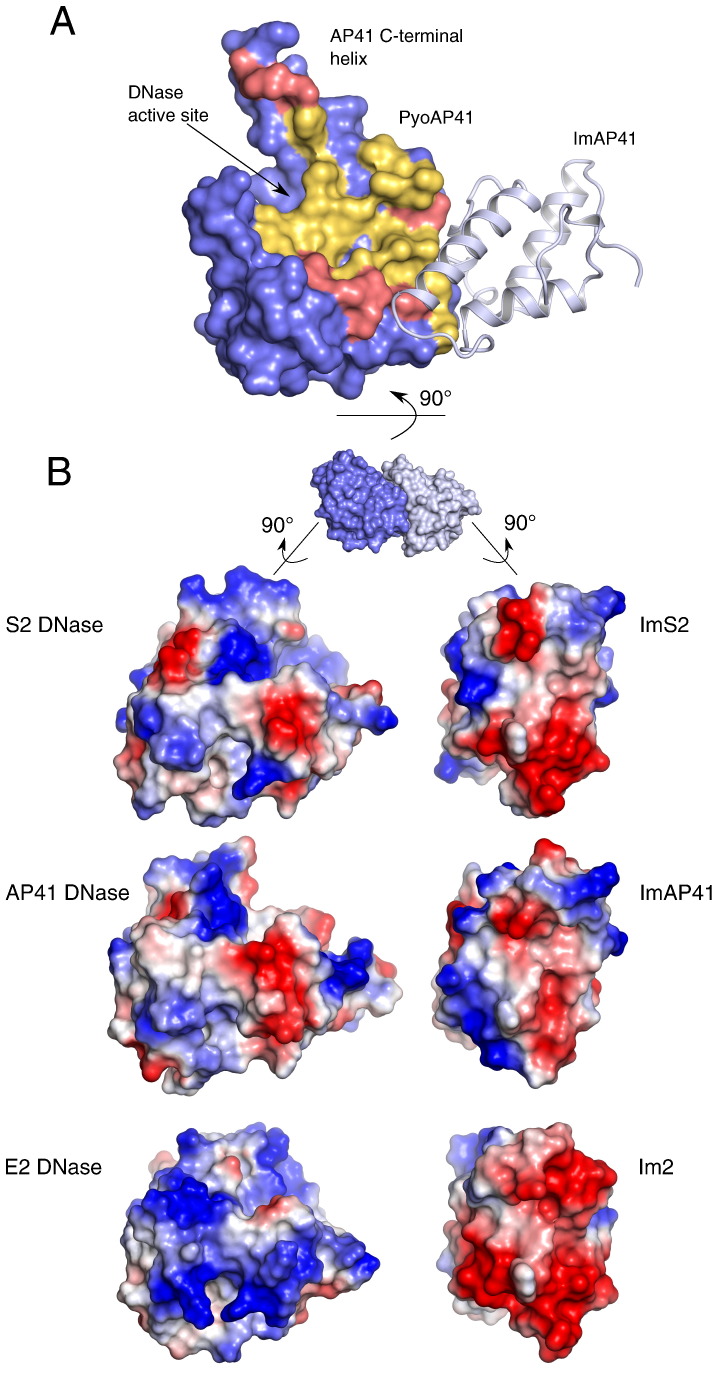 Fig. 4