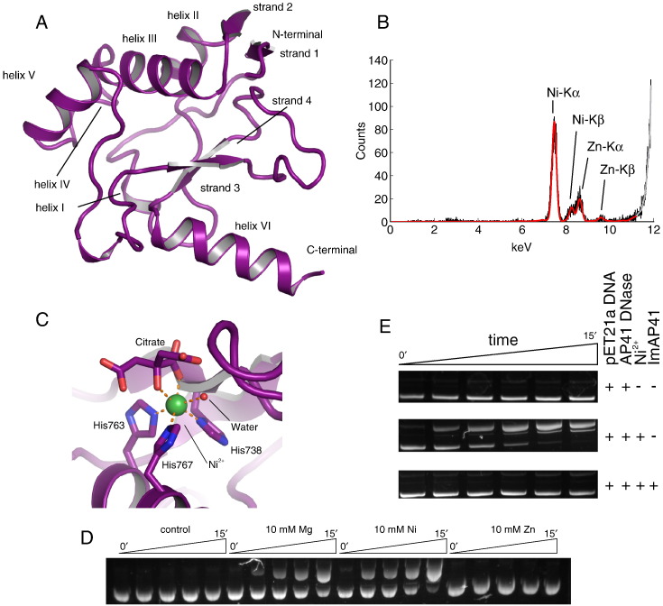 Fig. 2