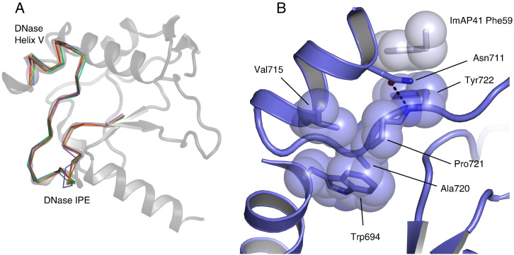 Fig. 6