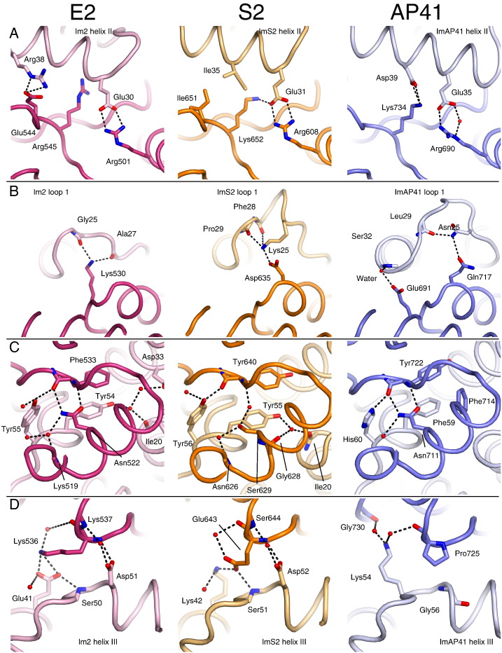 Fig. 7