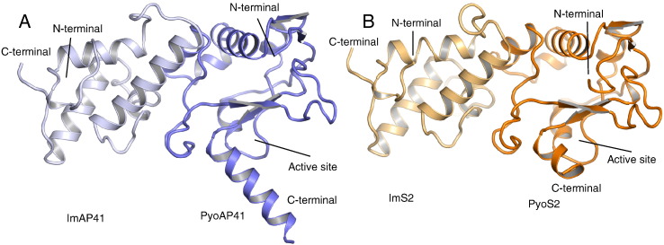 Fig. 3