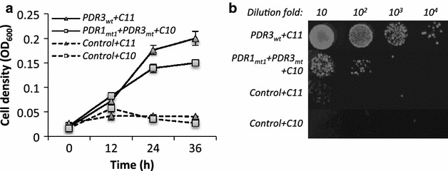 Fig. 2