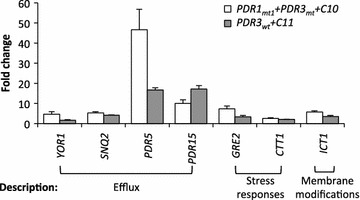 Fig. 3