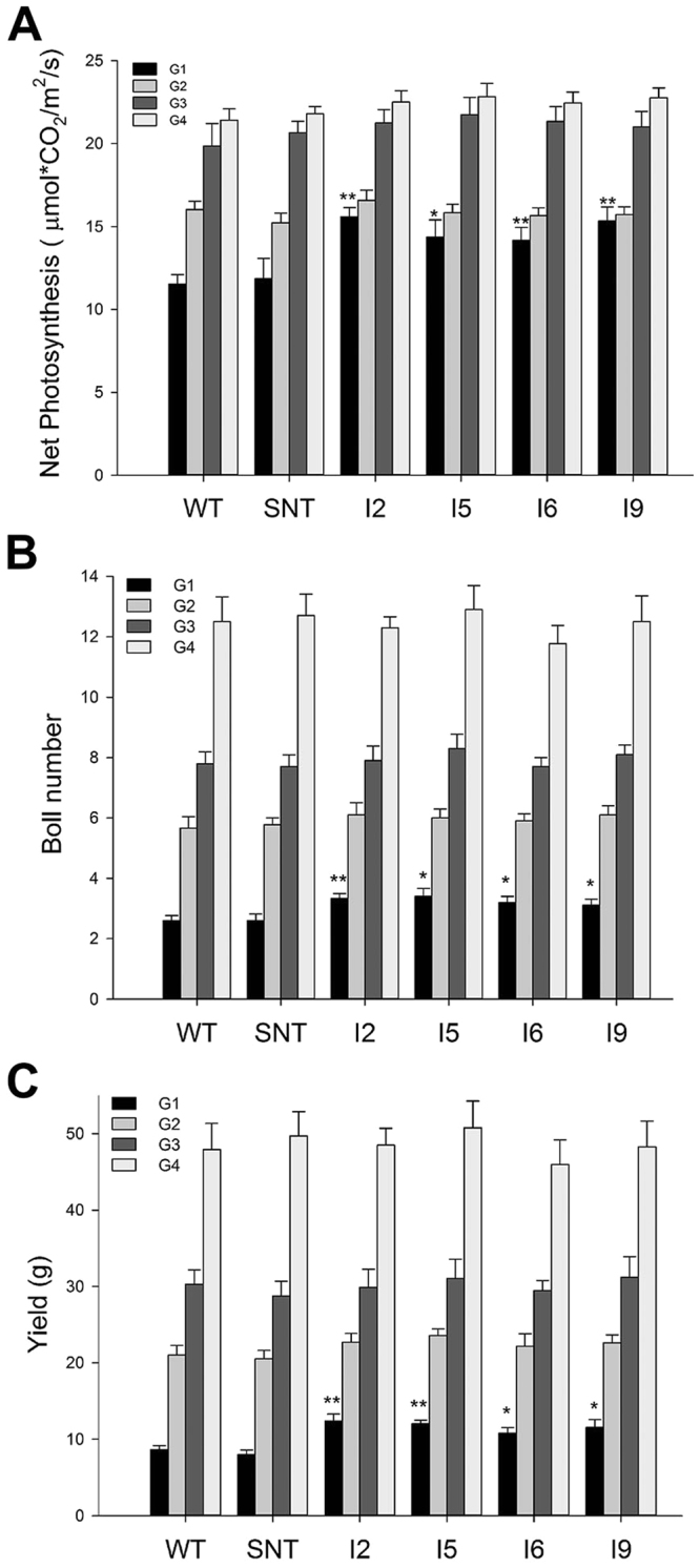 Figure 7