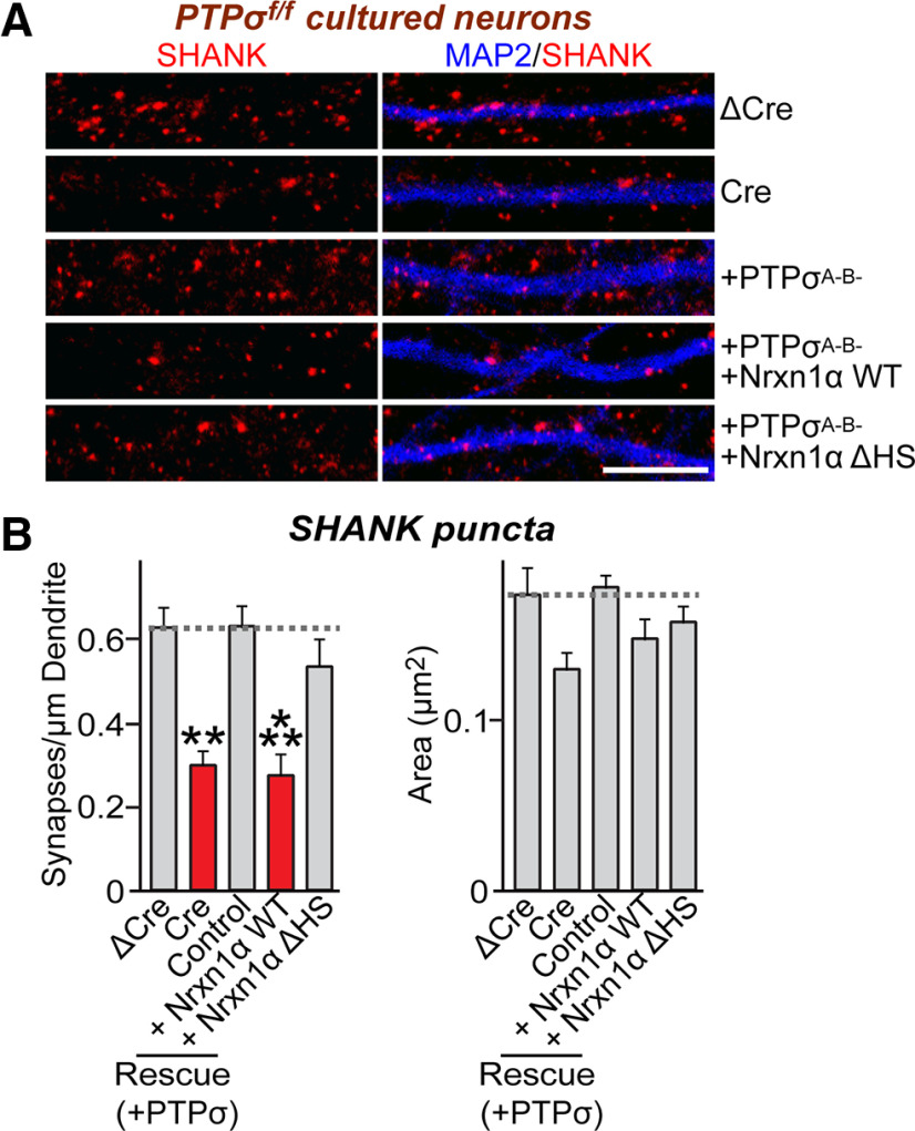 Figure 13.