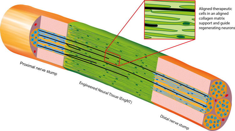 Figure 1.