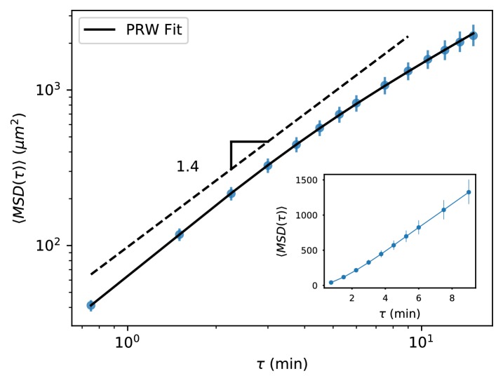 Figure 1—figure supplement 2.