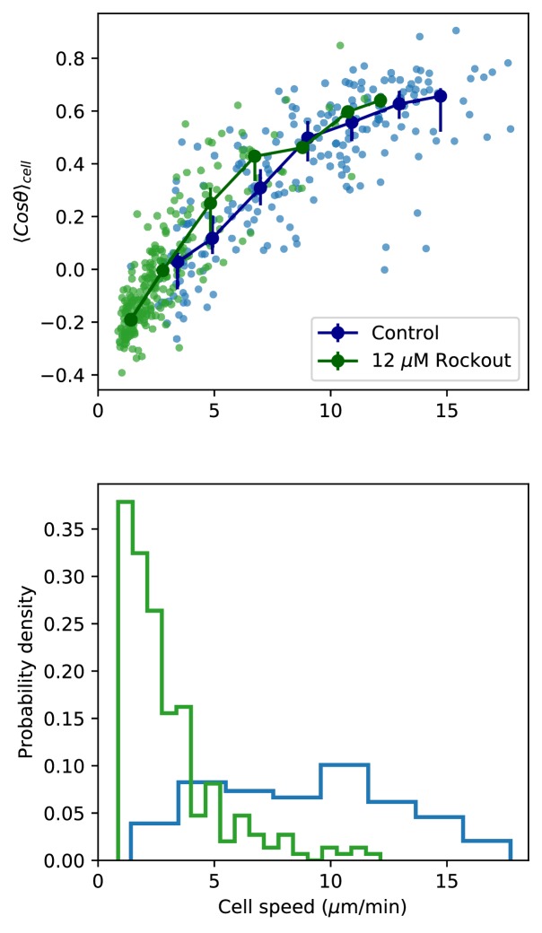 Figure 5—figure supplement 1.