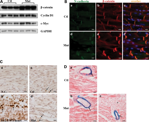 Figure 6.