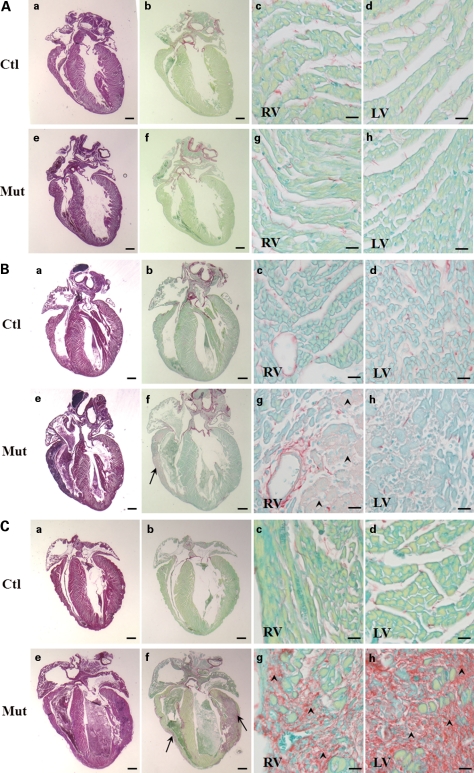 Figure 3.