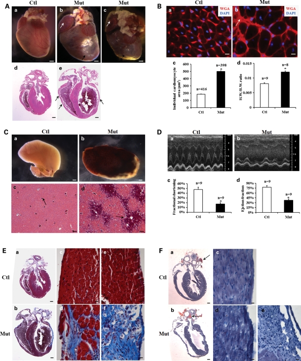 Figure 2.