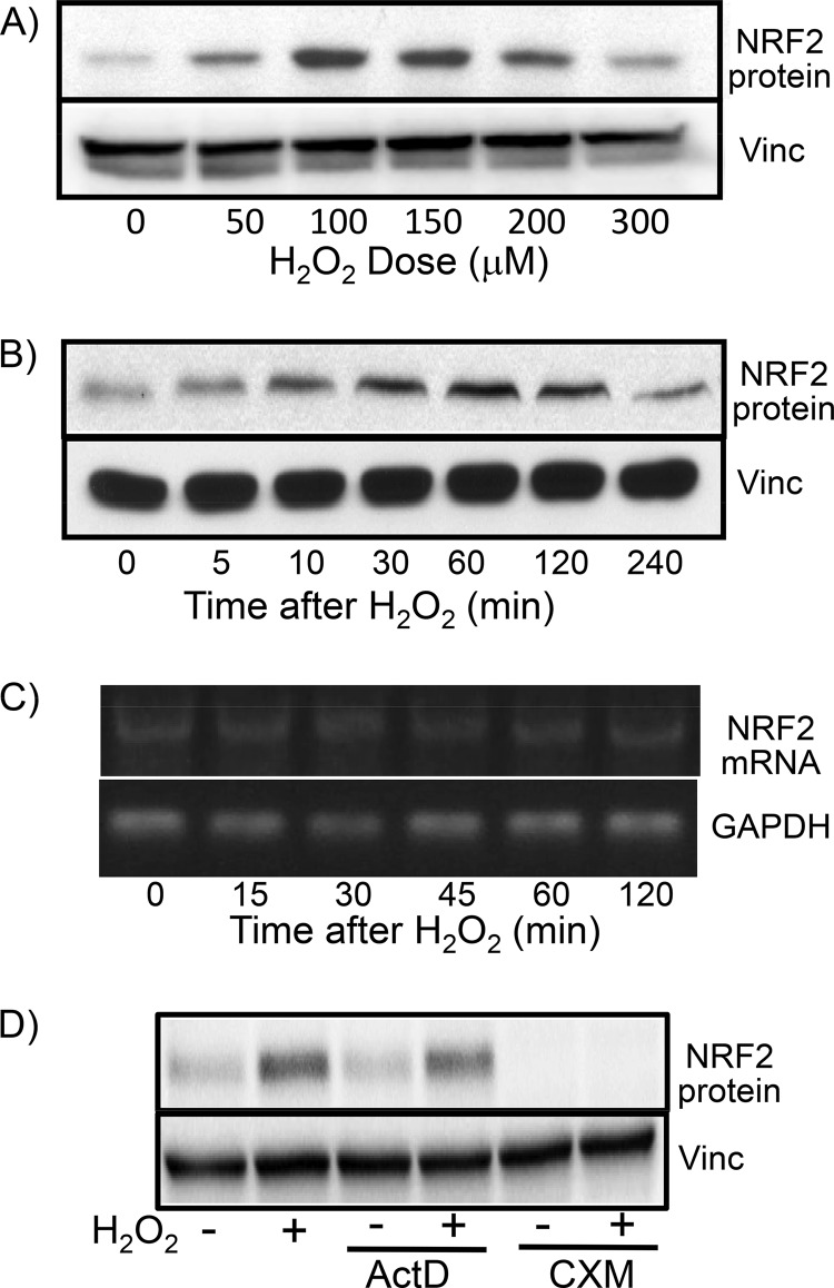 FIG 1