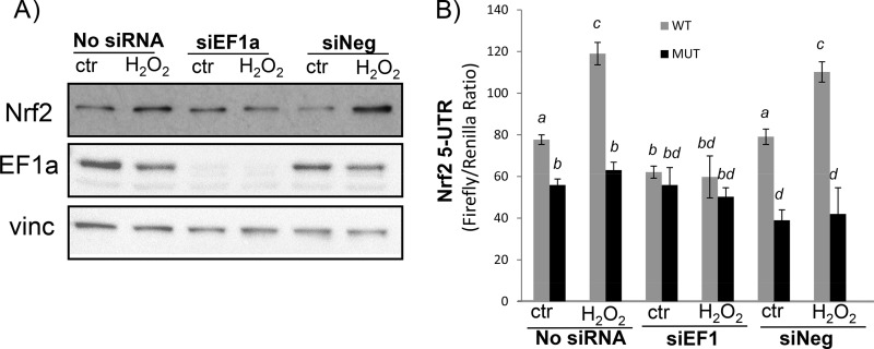 FIG 12