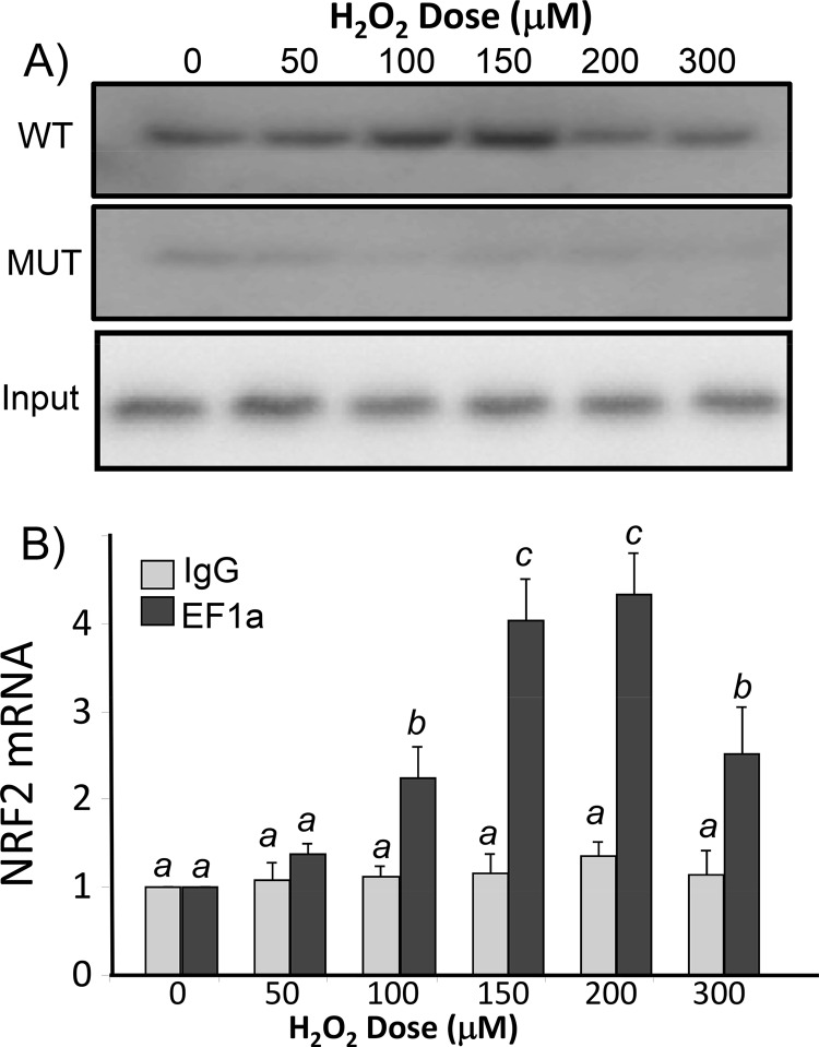 FIG 10