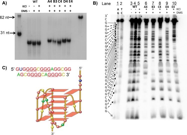 FIG 6