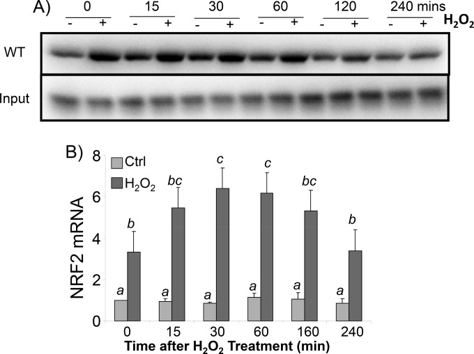 FIG 11