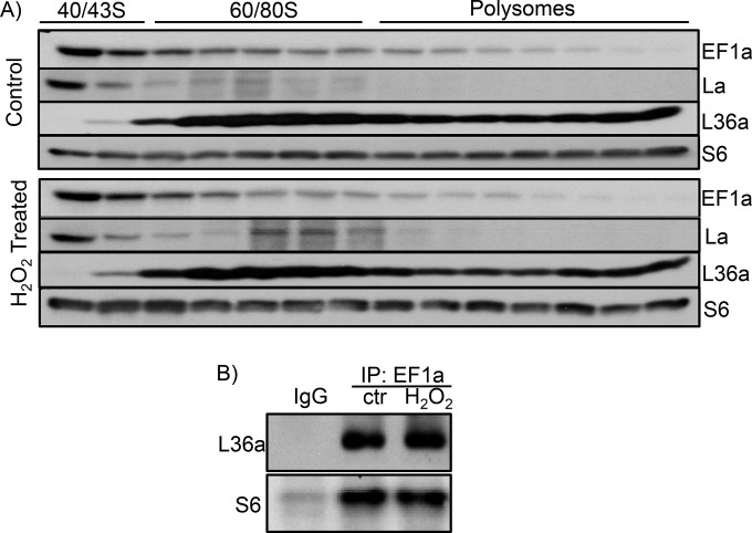 FIG 13