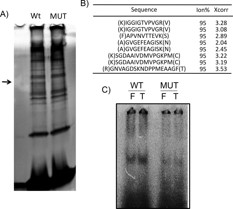 FIG 9