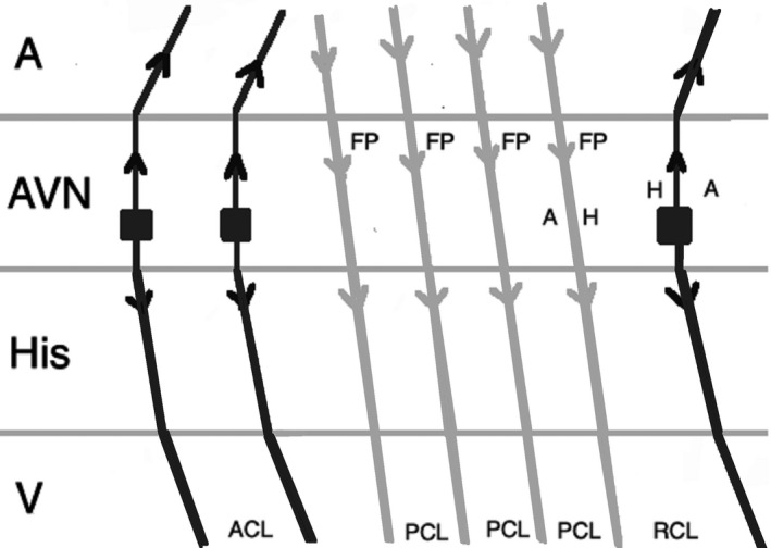 FIGURE 8