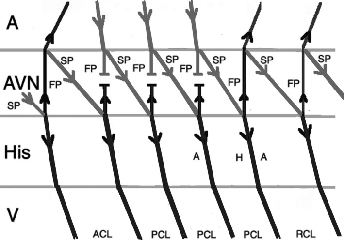 FIGURE 9