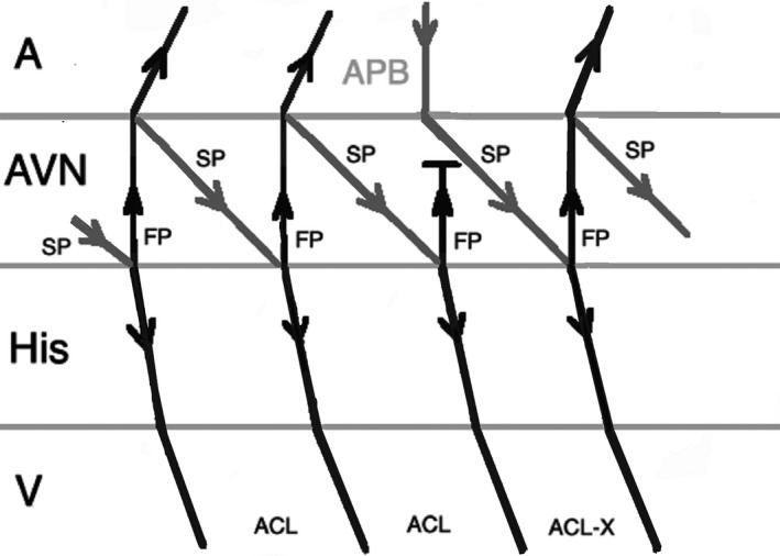 FIGURE 2