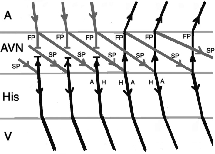 FIGURE 10