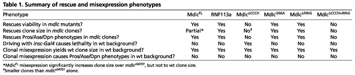 graphic file with name table003.jpg