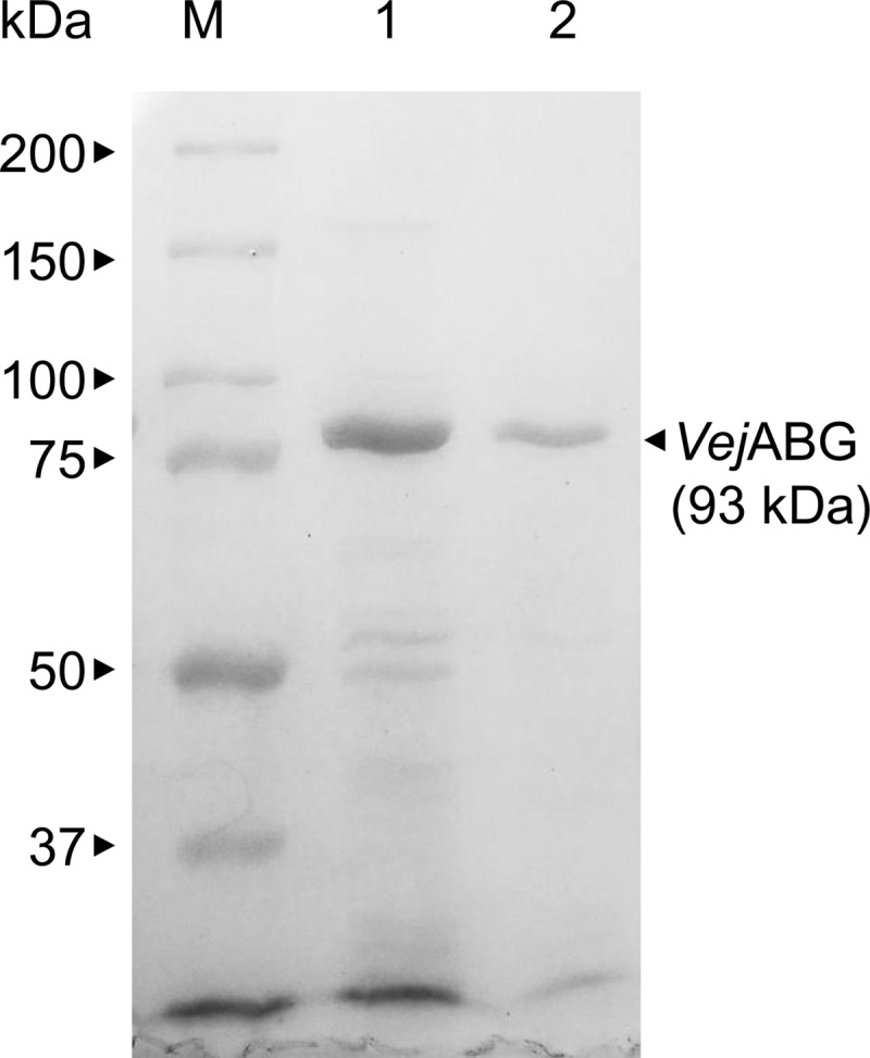 FIG 2