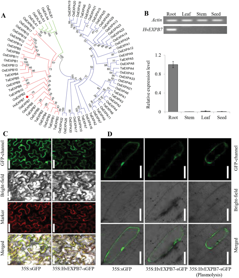 Fig. 7.