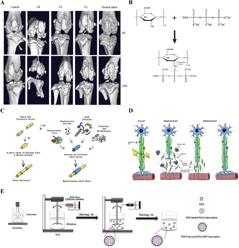 Fig. 7