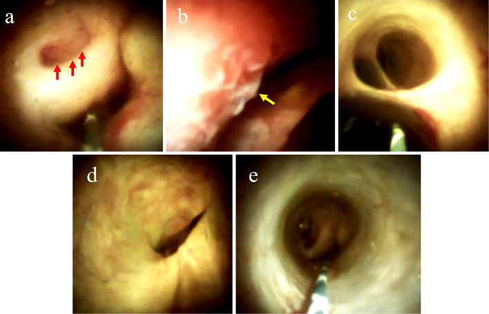 Figure 5.