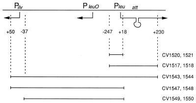 FIG. 1