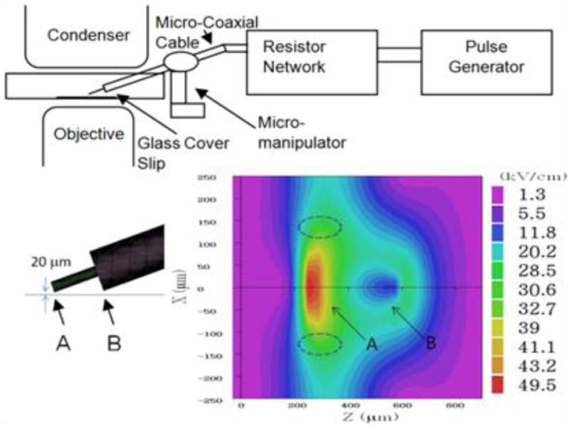 Fig. 1