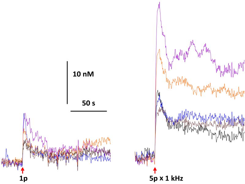 Fig. 4