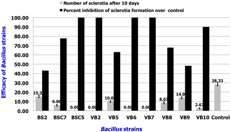 Figure 6