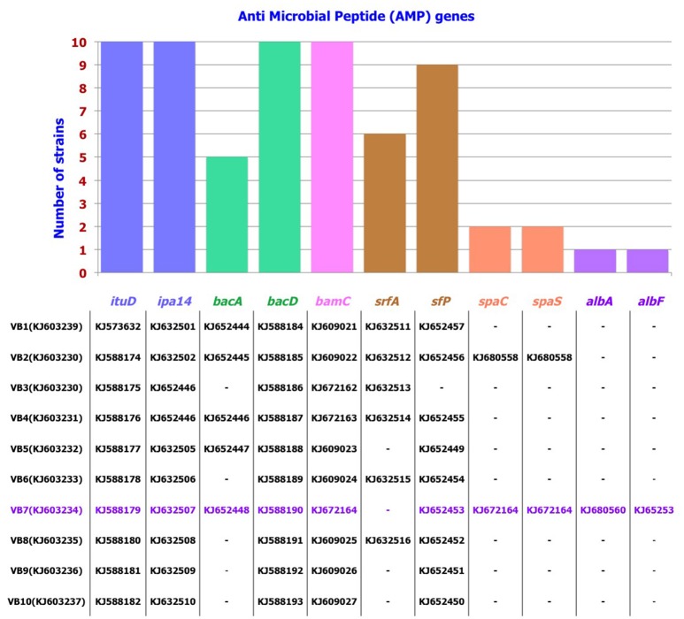 Figure 5