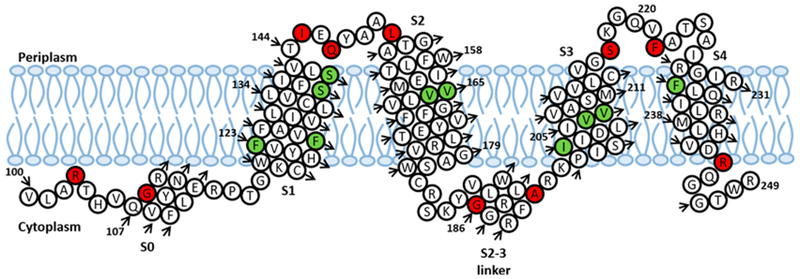 Figure 7.