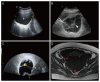 Fig. 5