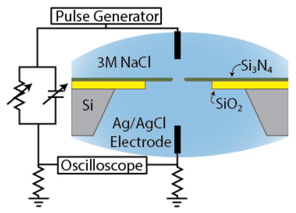 FIG. 1