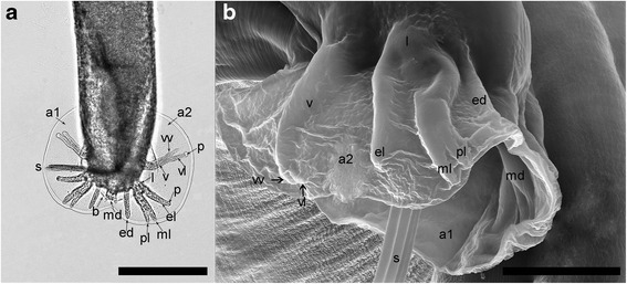 Fig. 5