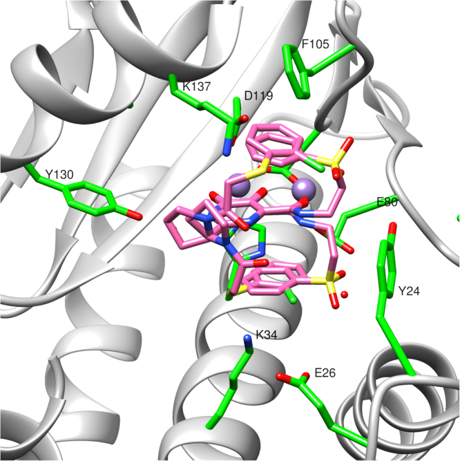 Figure 5