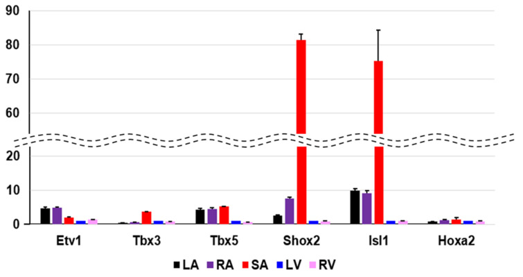 Figure 5