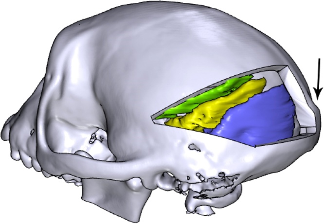 Fig. 6