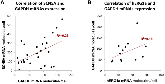 Figure 3—figure supplement 1.