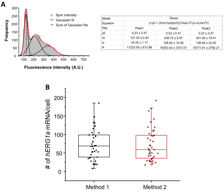 Figure 2—figure supplement 3.