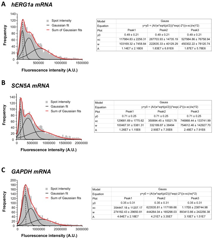 Figure 2—figure supplement 2.